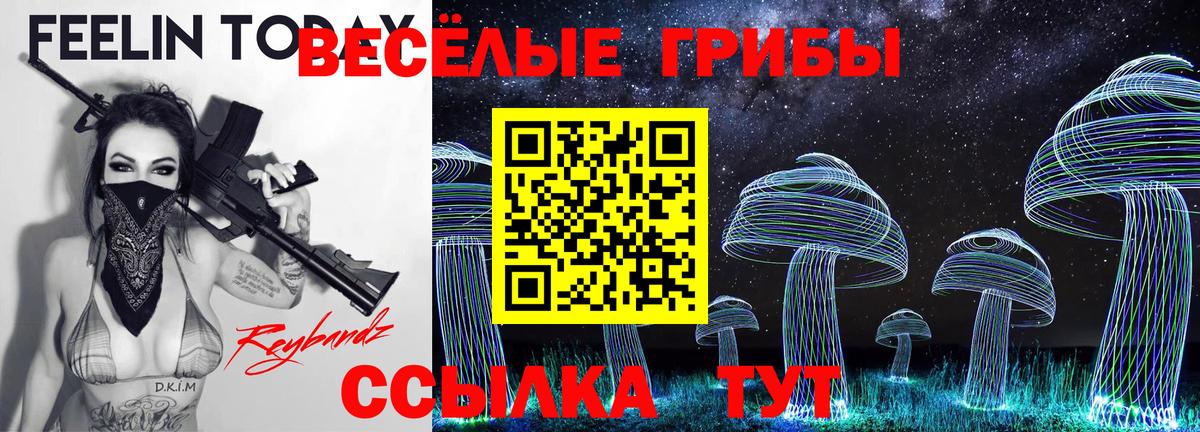 Ипатово  Галлюциногенные грибы MAGIC MUSHROOMS  Вход с VPN 